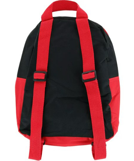 USA. backpack №088 Spider Msn