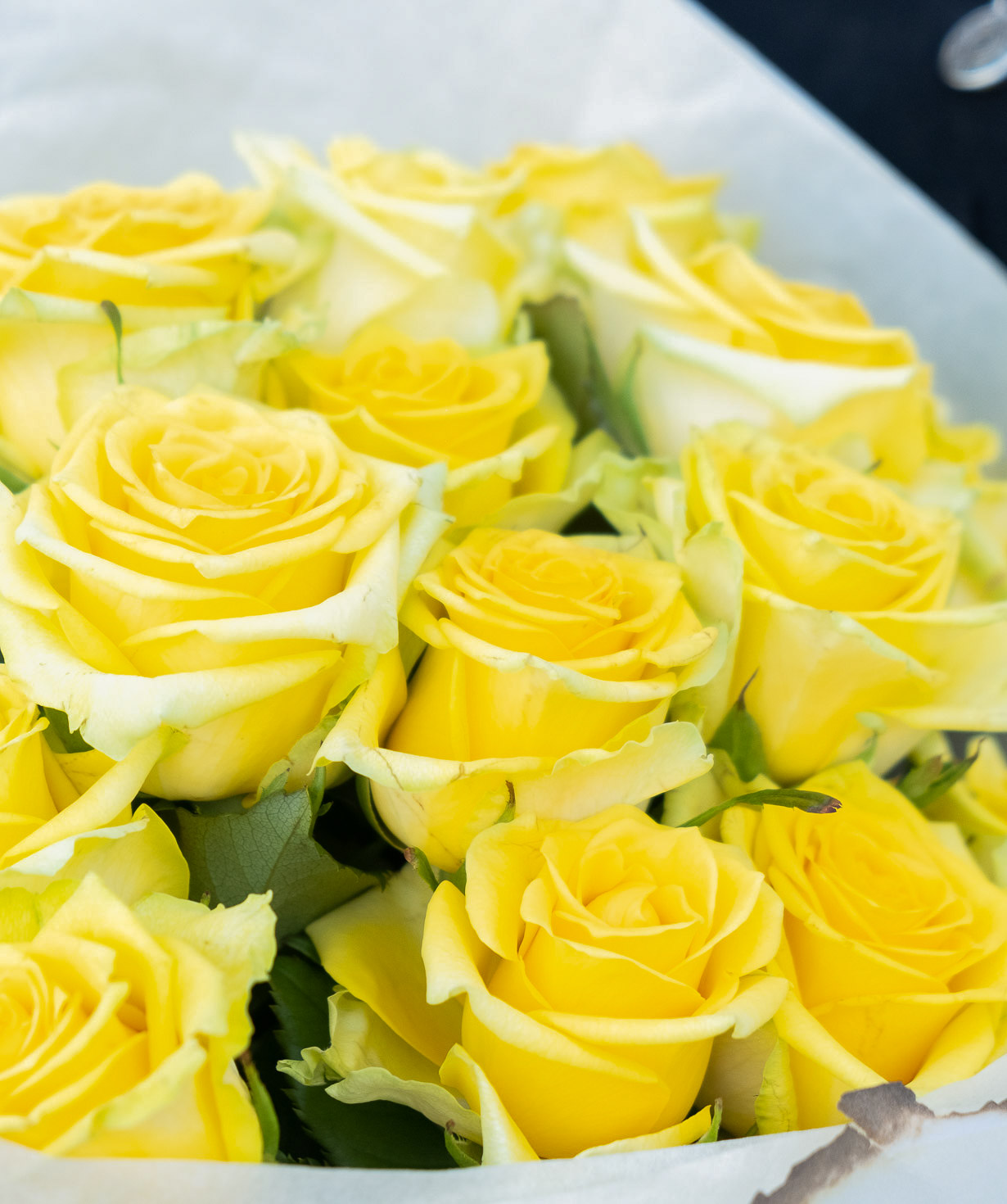 Bouquet ''Aquino'' with roses yellow