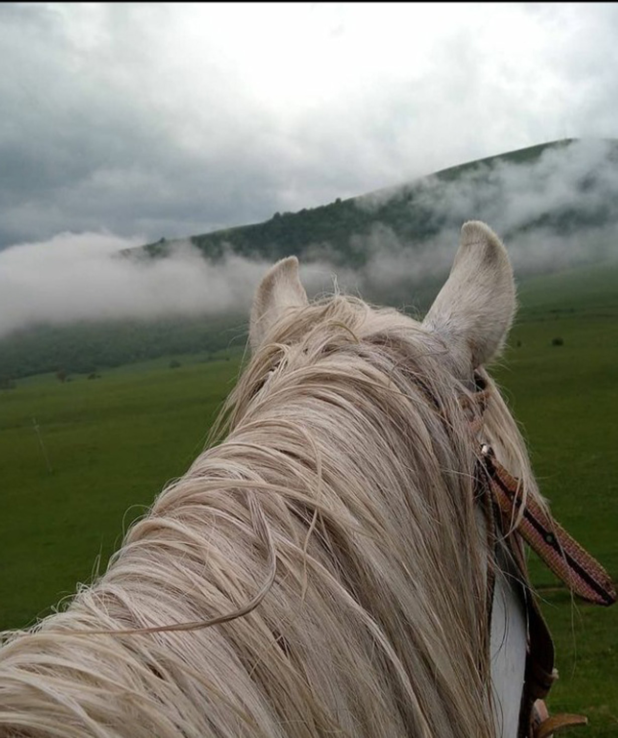 Gift card `Apaga Resort` horse riding 3 hours