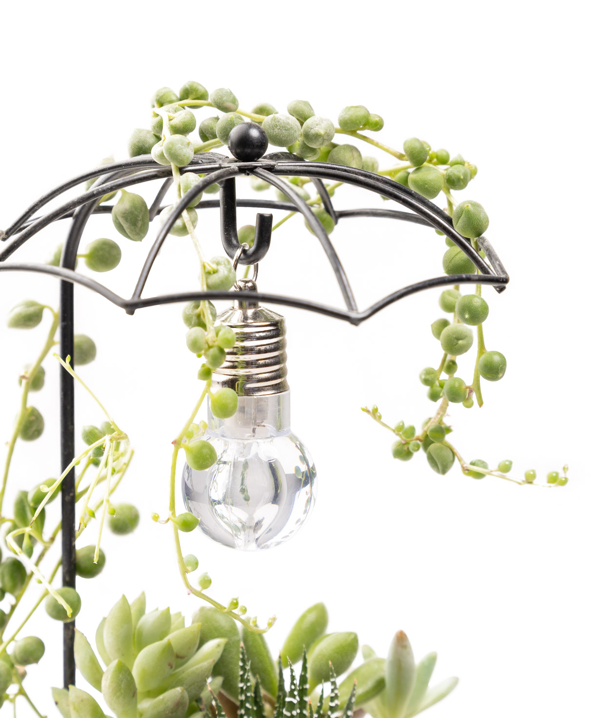 Растение «Eco Garden» Лампа №70