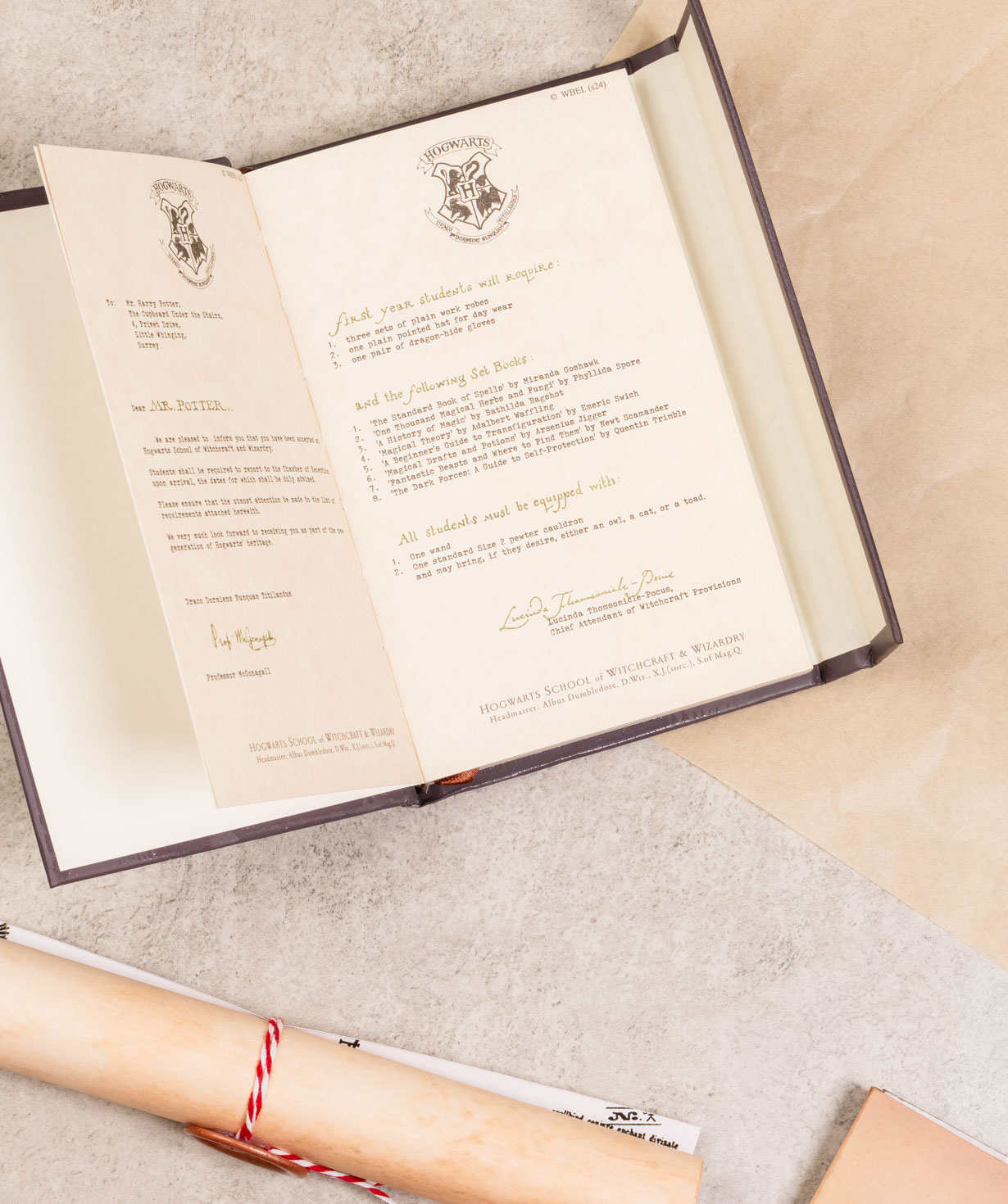 Gift box «THE BOX» Harry Potter №618