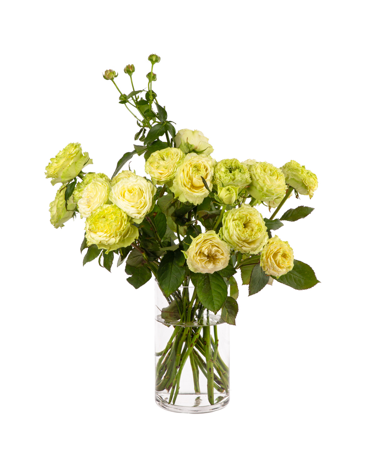 Bouquet `GREEN MAGIC` with peony rose