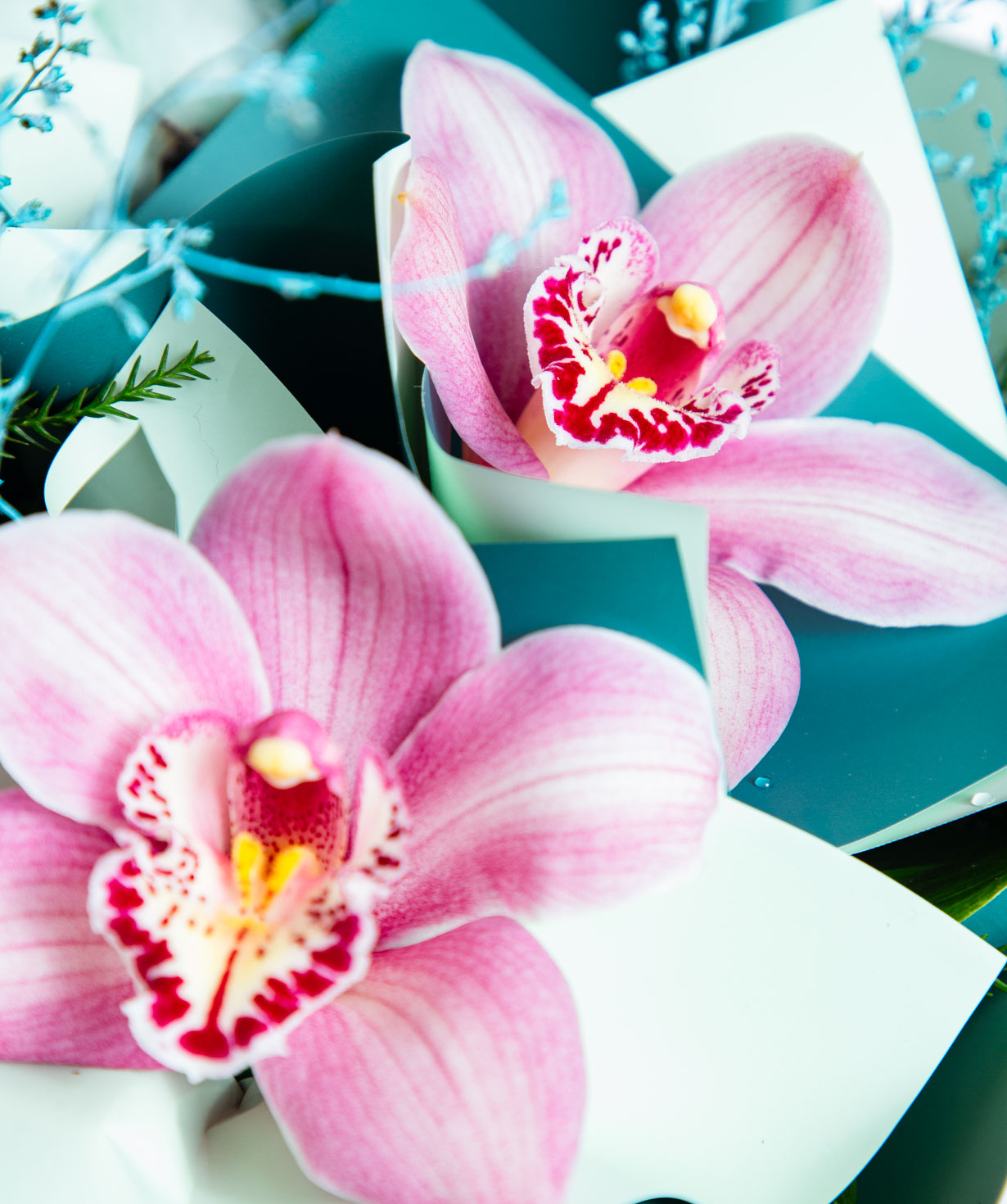 Bouquet «Fernandina» with orchids