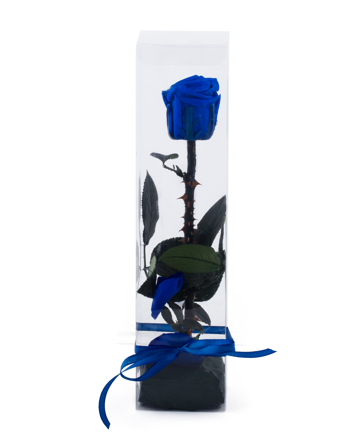 Роза `EM Flowers` вечная синяя 27 см в коробке