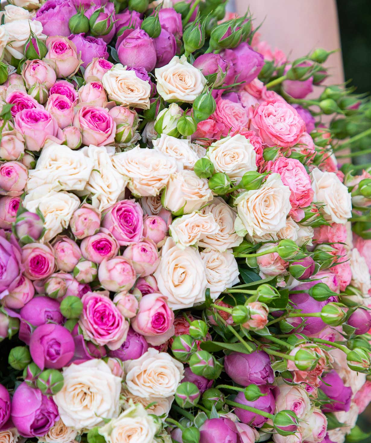 Ծաղկեփունջ «Անտոնիմինա» փնջային վարդերով, 70 սմ