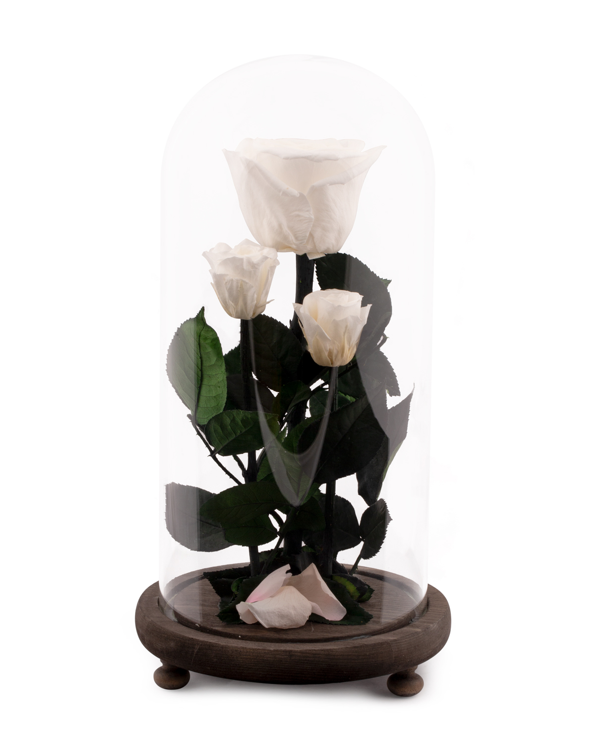 Roses `EM Flowers` eternal white 28 cm in a flask