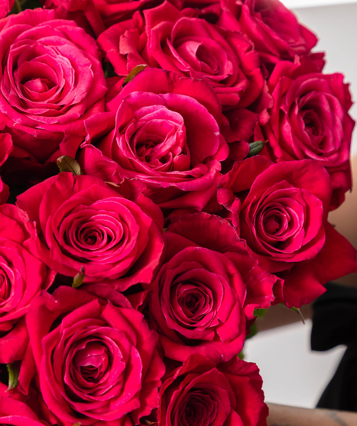 Bouquet “Bright Pink Roses”