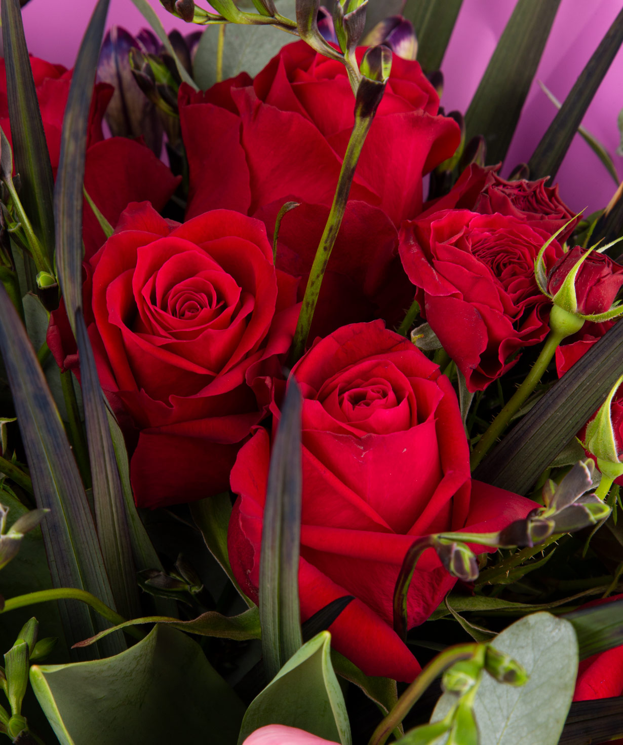 Ծաղկեփունջ «Ռավեննա» փնջային վարդերով, կակաչներով, ֆրեզիաներով