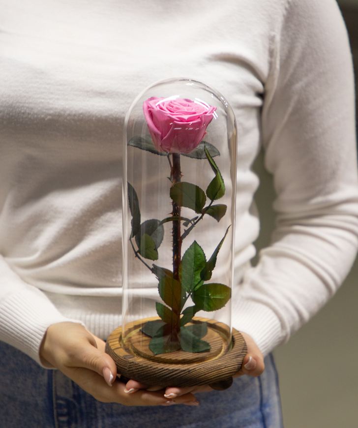 Rose `EM Flowers` eternal pink 26 cm