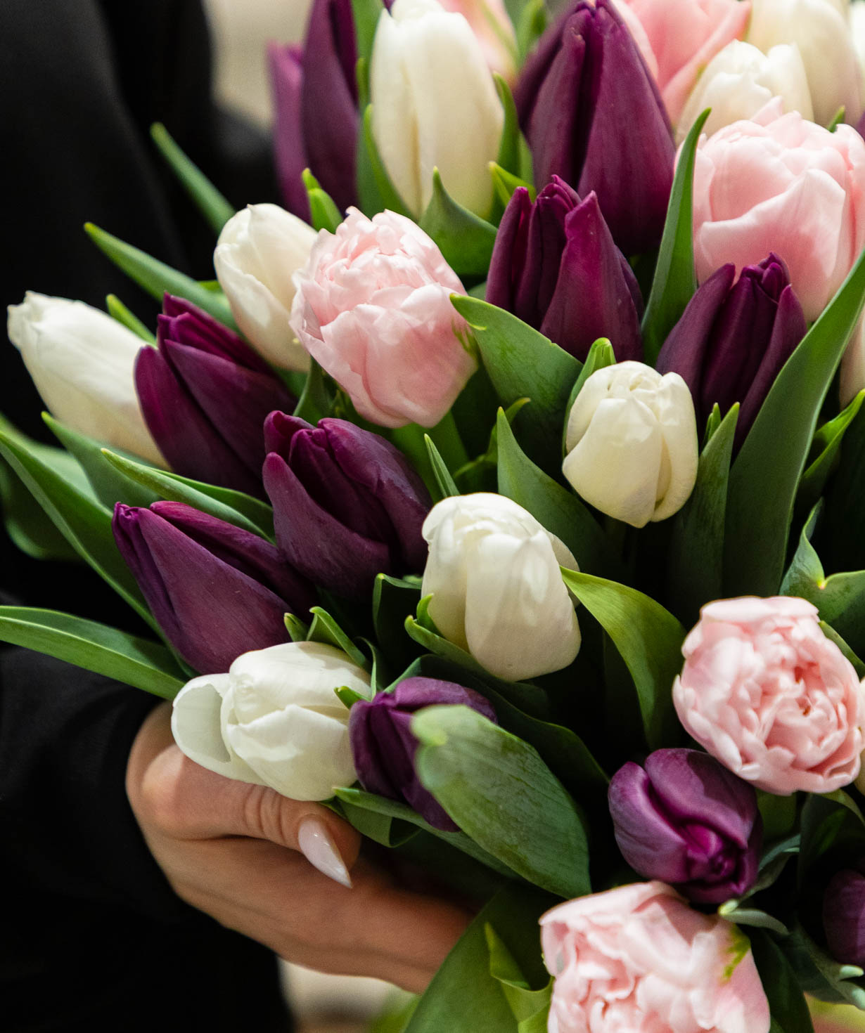 Ծաղկեփունջ «Aveyron» կակաչներով