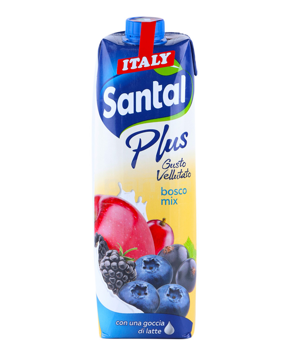Juice `Santal Plus bosco mix` natural 1l
