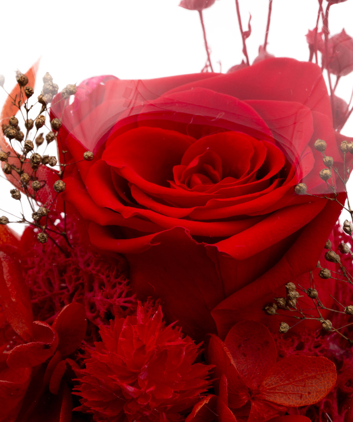 Композиция `EM Flowers` вечная роза и гортензия красная 13 см в колбе