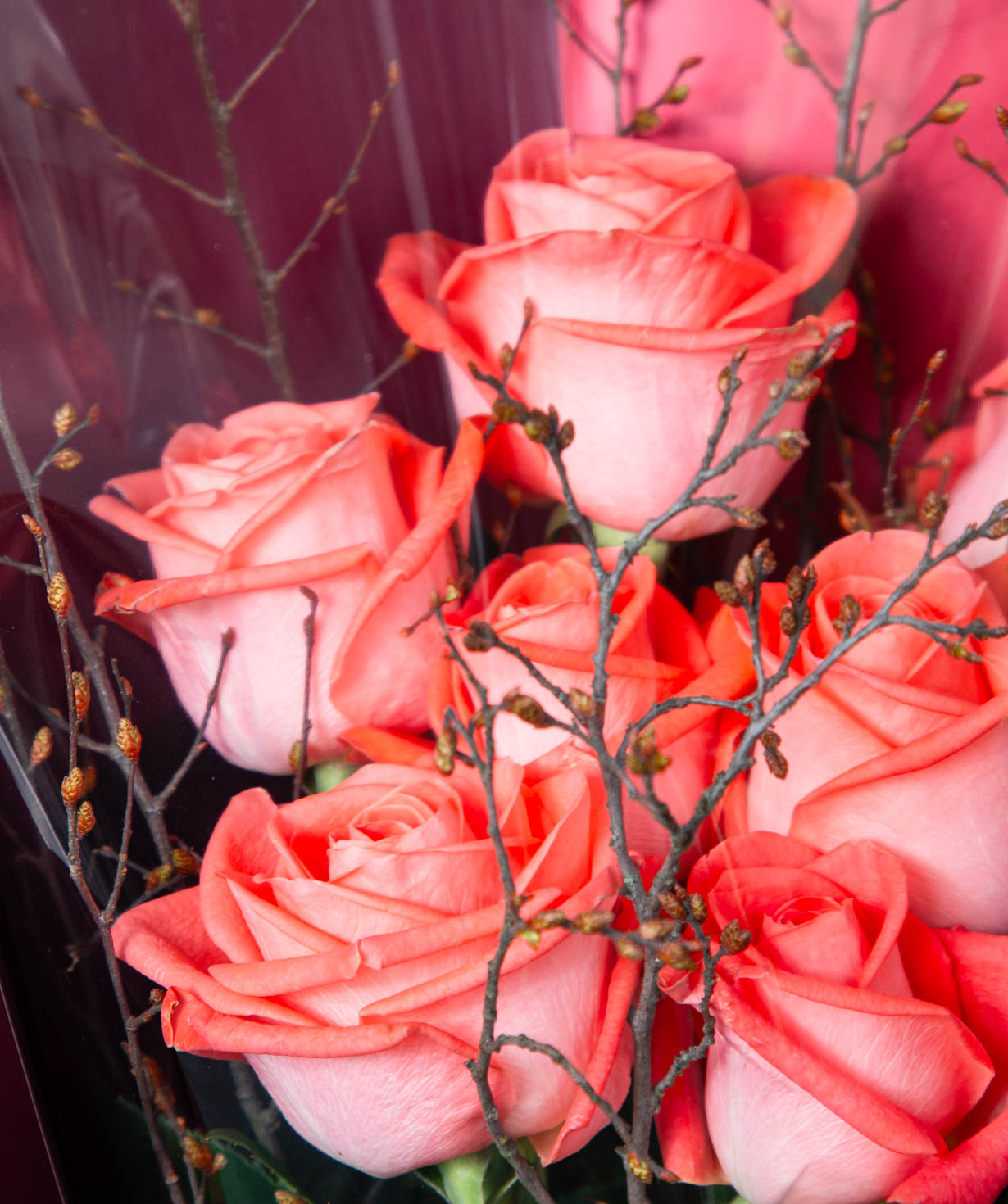 Ծաղկեփունջ «Ֆորմենտերա» վարդերով
