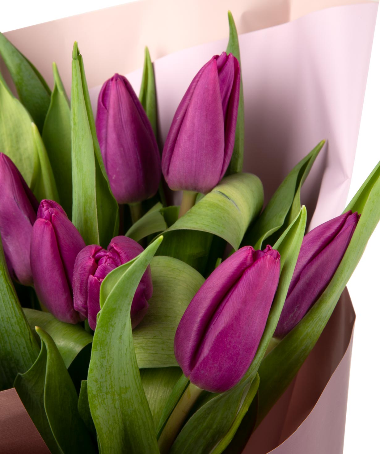 Bouquet `Medan` with tulips