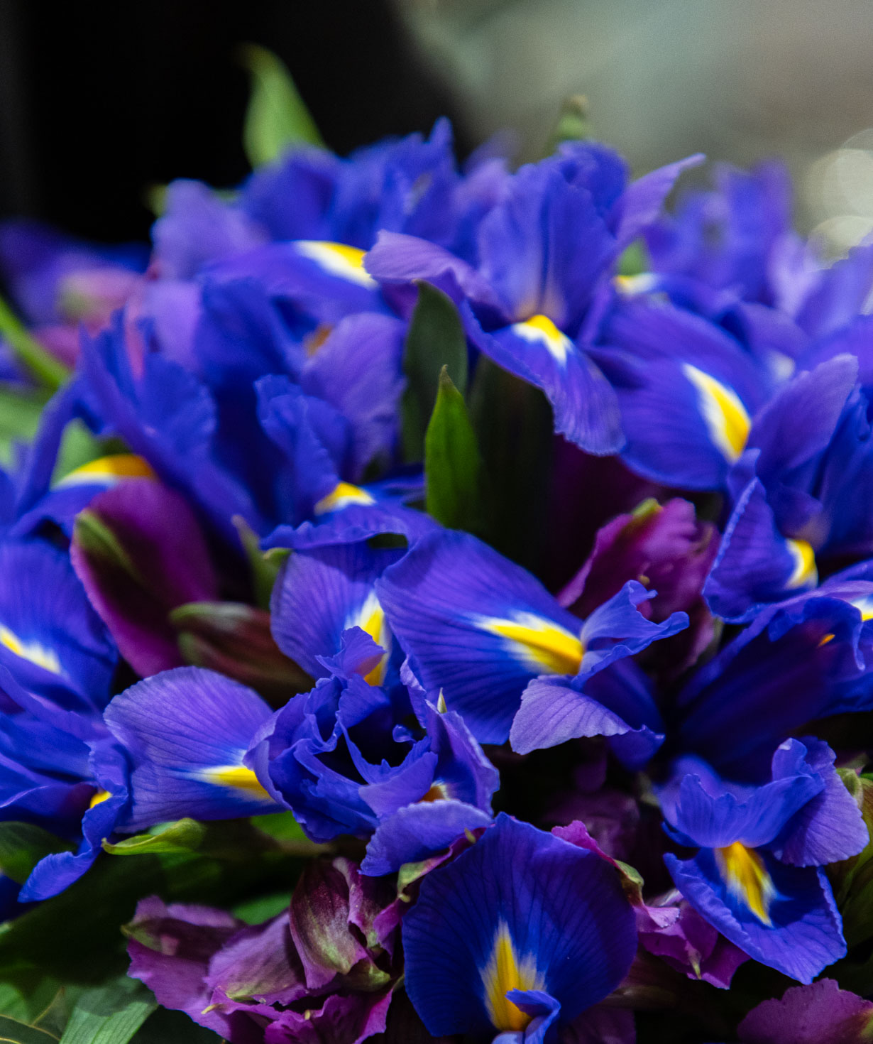 Композиция «Auve» с ирисами и альстромериями