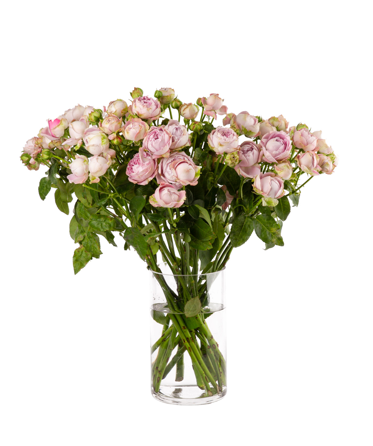Букет `BLOSSOM BUBBLES` с пионовидных роз
