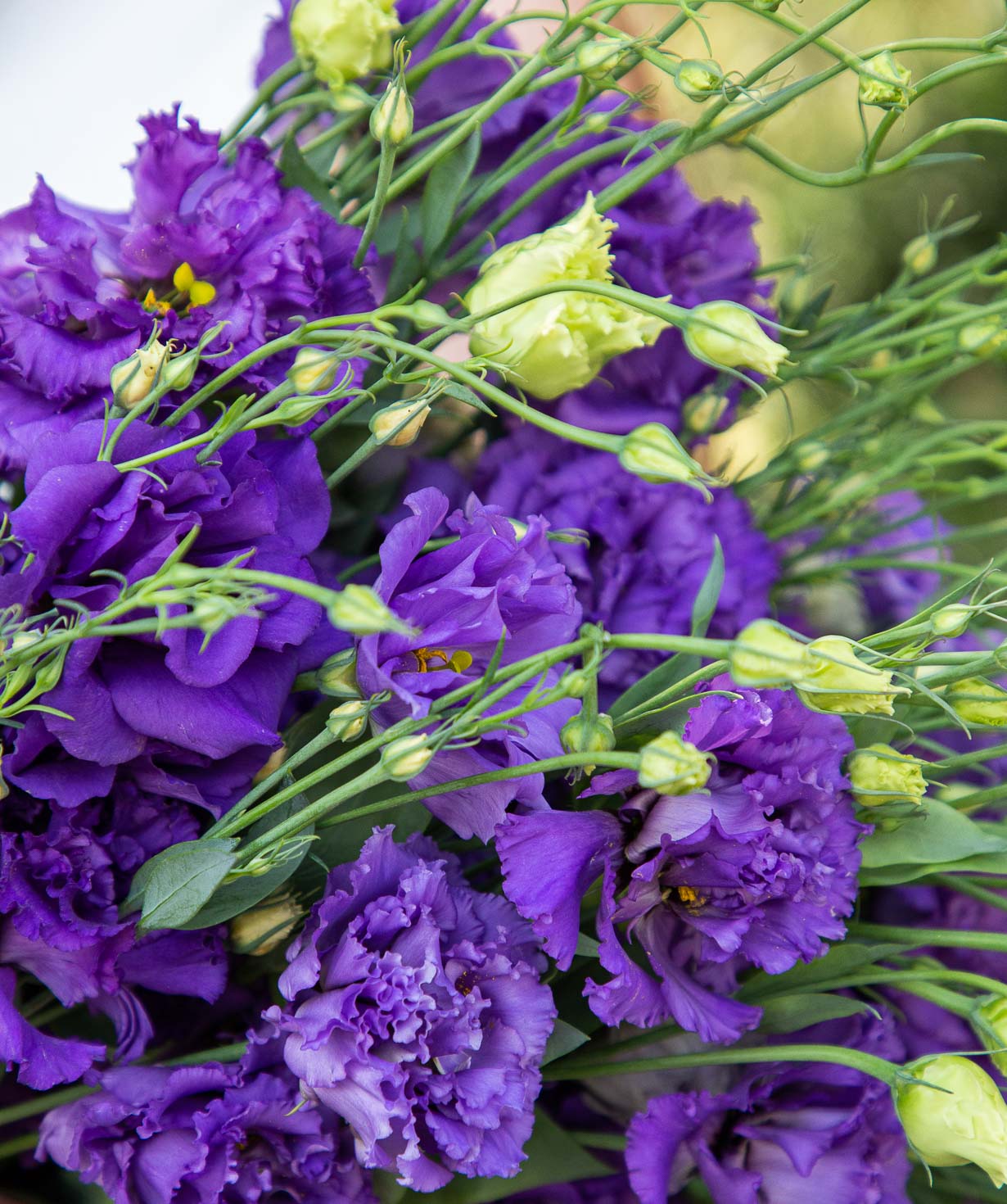 Bouquet ''Camini'' with lisianthus