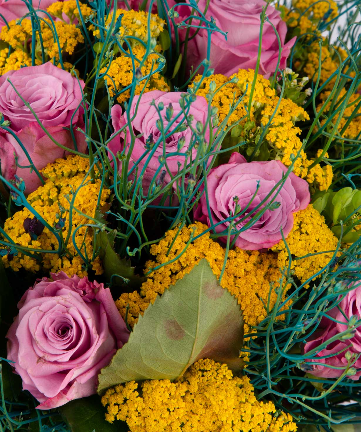 Ծաղկեփունջ «Գեյնսվիլլ» վարդերով և դաշտային ծաղիկներով