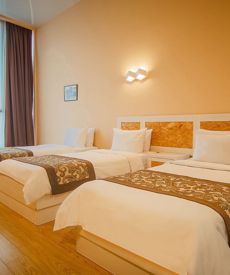 New Year in Georgia «Iveria Inn Hotel» for 1 person, in a 2-person room