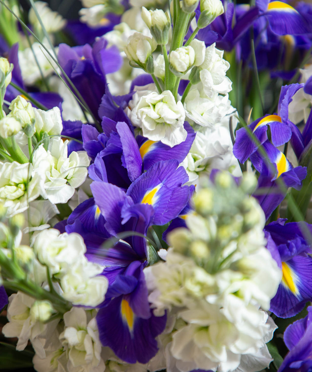 Bouquet «Avenue Des Fleurs» №90