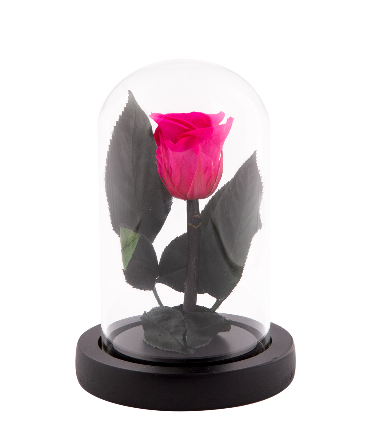 Роза `EM Flowers` вечная темно-розоавая 13 см в колбе