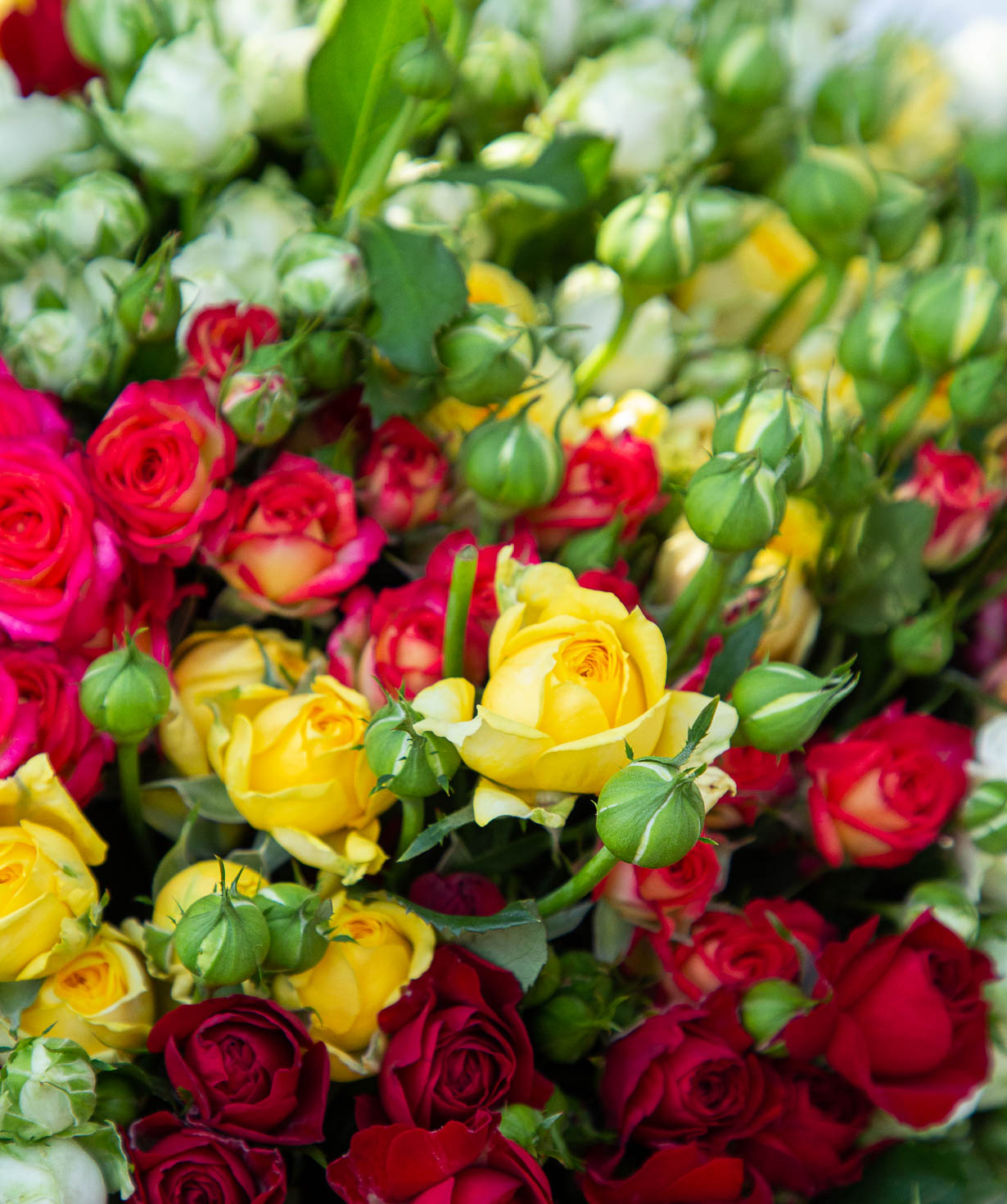 Букет ''Ардоре'' с кустовыми розами, 70 см