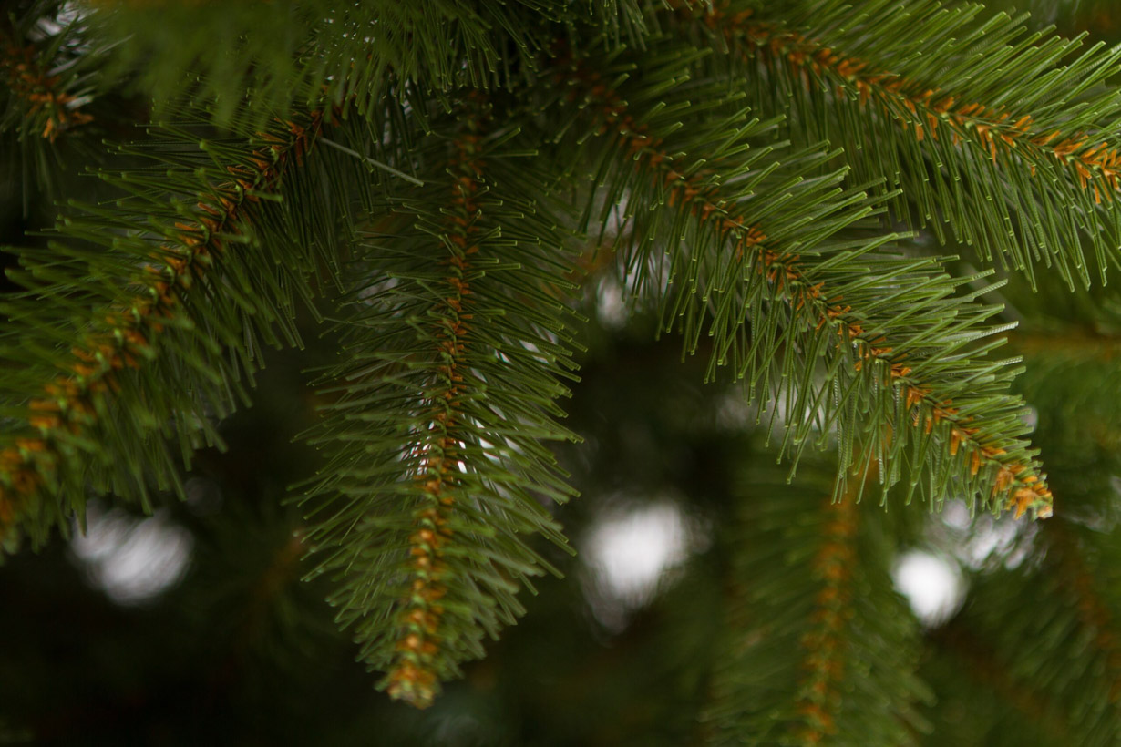 Christmas tree SYBERIAN SPRUCE PE Classic, 250 cm , Ø 155cm CLX-SWSYB--PE-250