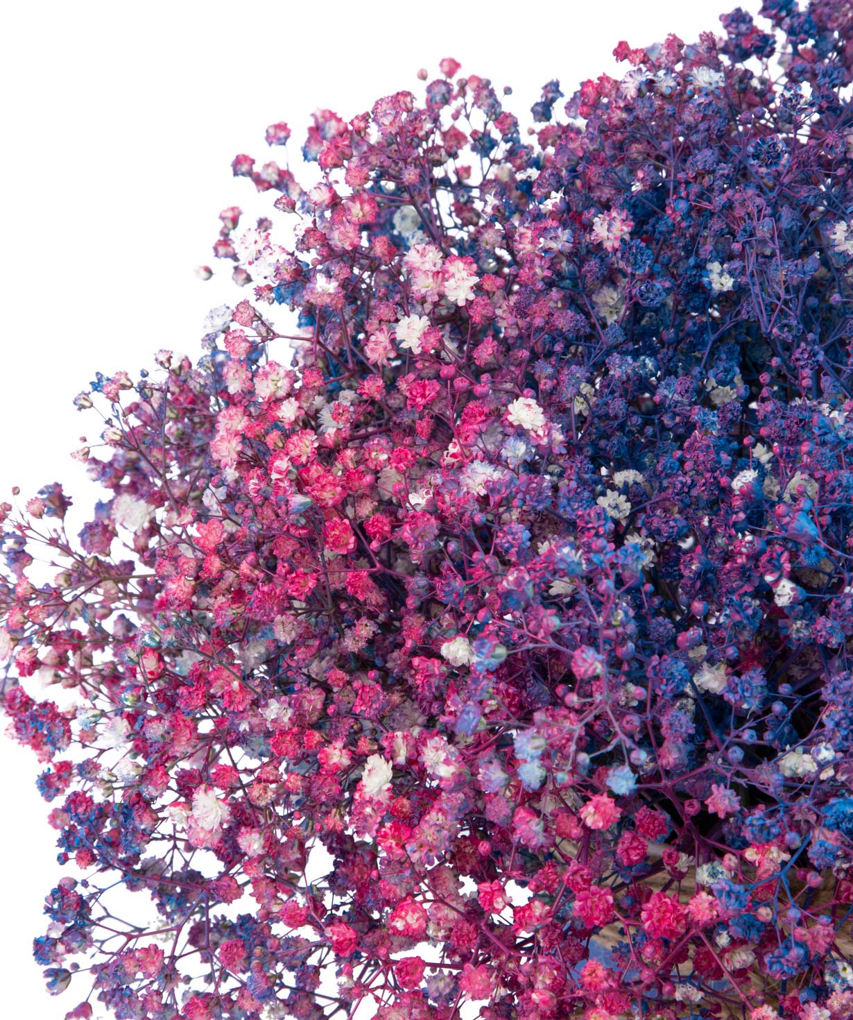 Композиция `Формоза` с гипсофилой (засушенные цветы)