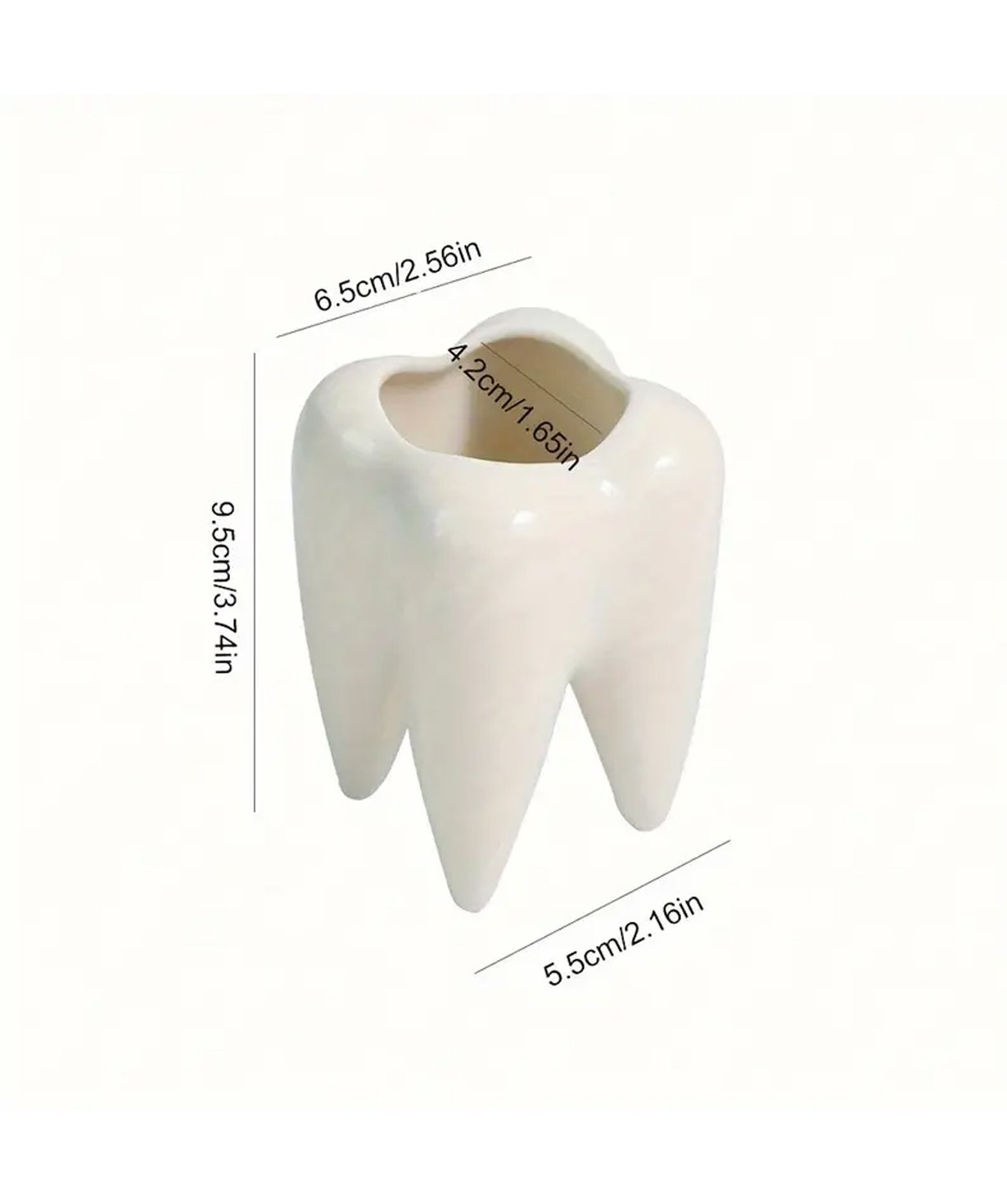 Pen Holder «Gift Store» Tooth-Shaped