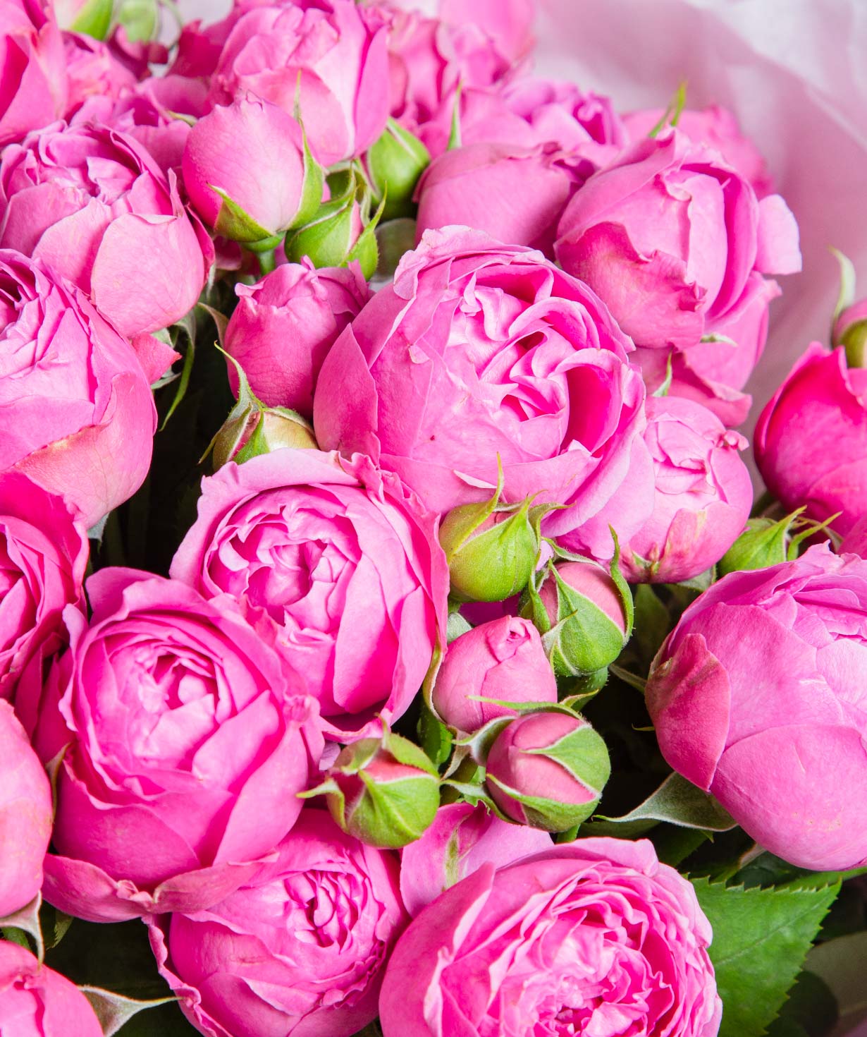 Bouquet «Eve Flower» with spray peony roses