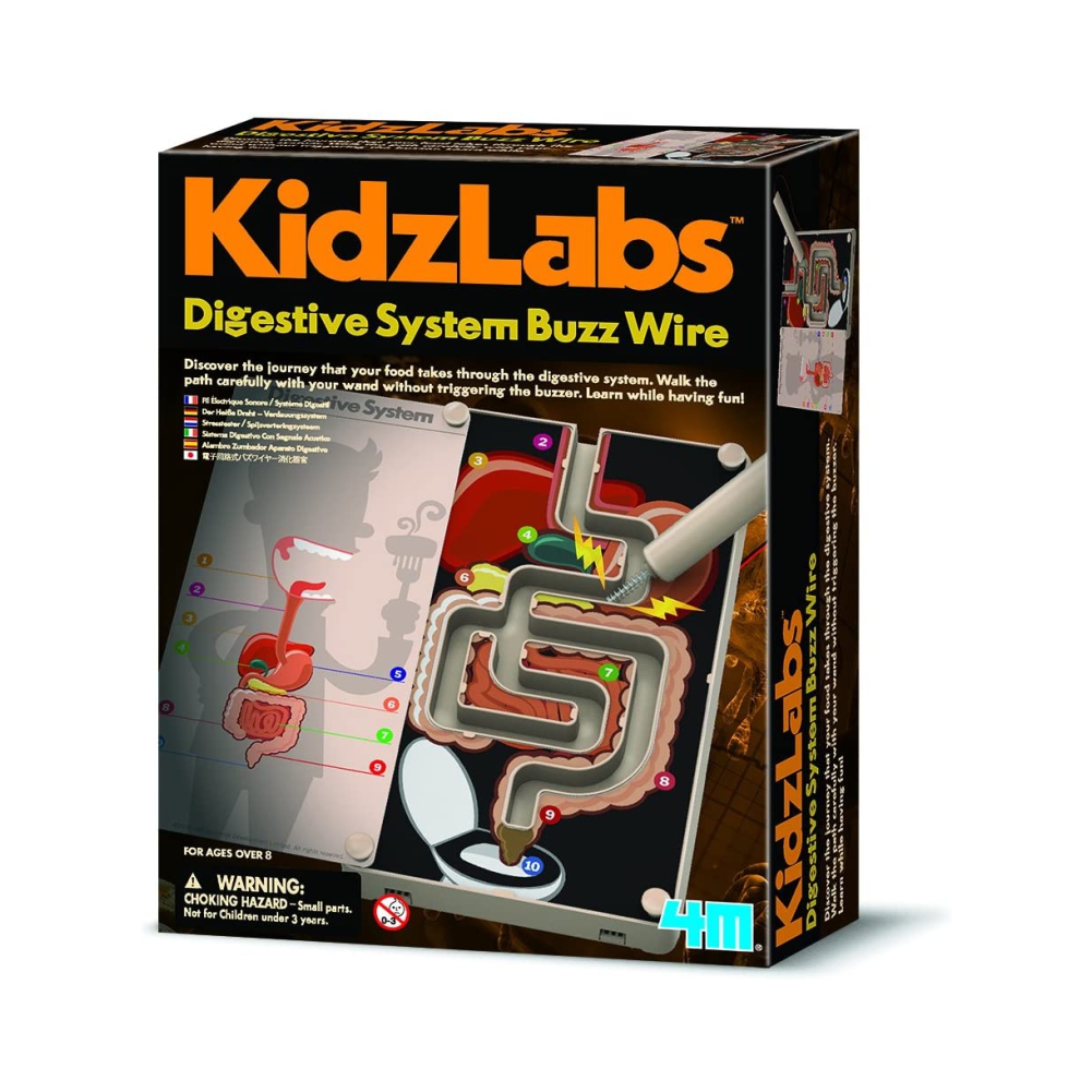 Հավաքածու «KidzLabs» մարսողական համակարգ