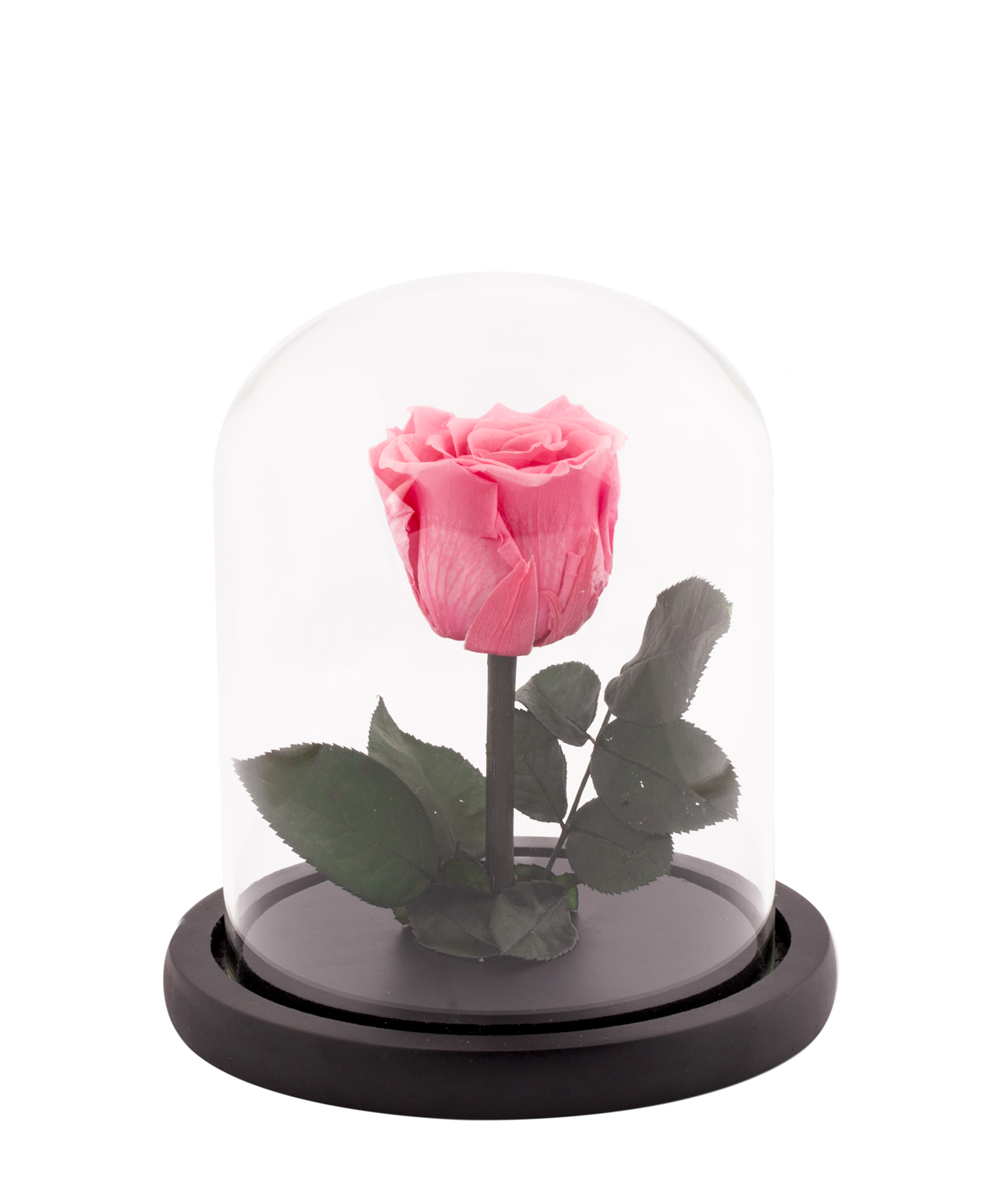 Роза `EM Flowers` вечная розоавая 17 см в колбе