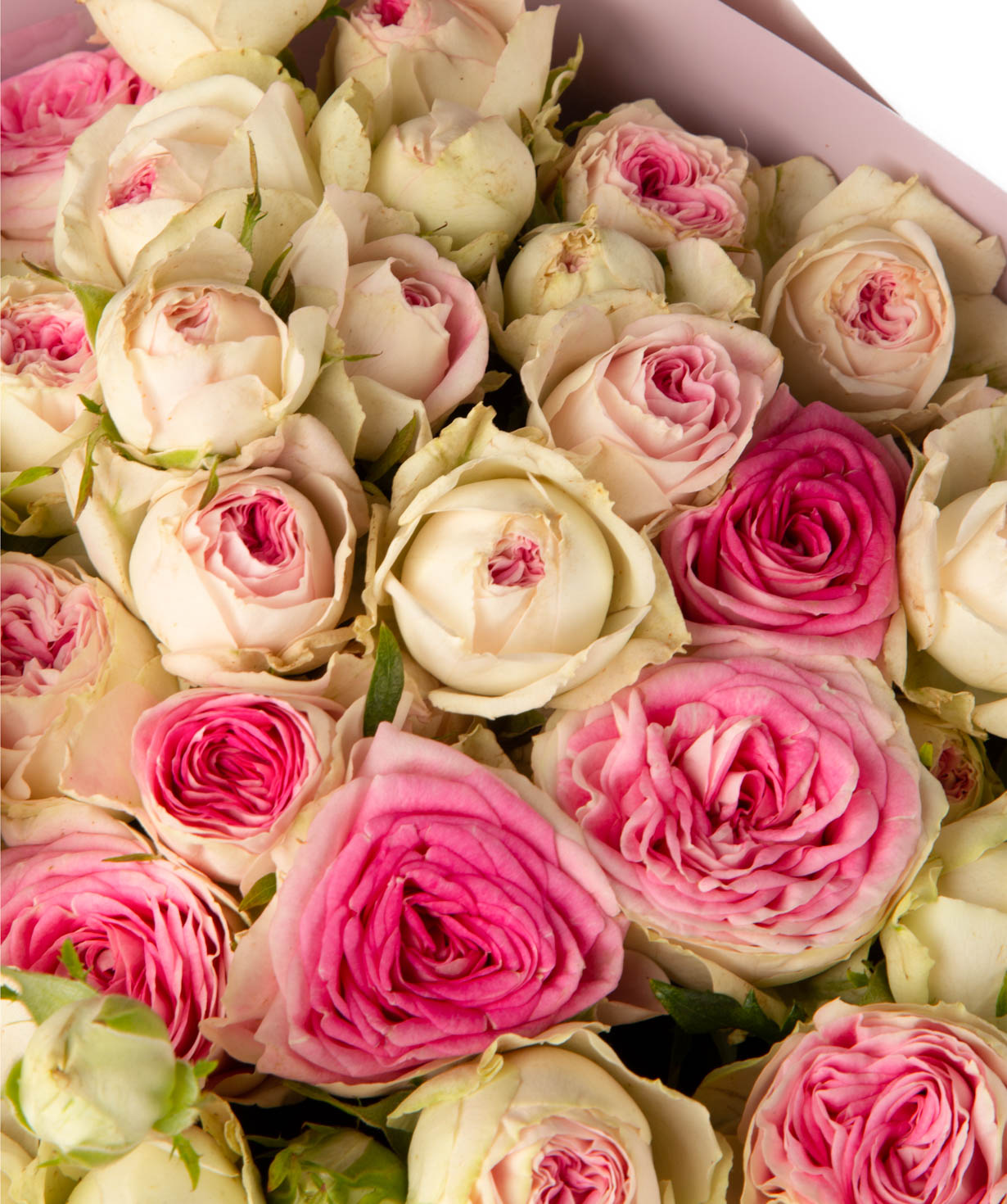 Bouquet `Marina` with peony roses