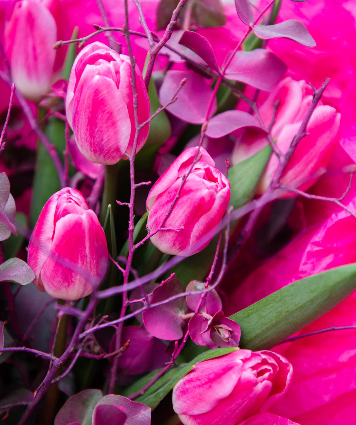 Bouquet «Amarousion» with tulips