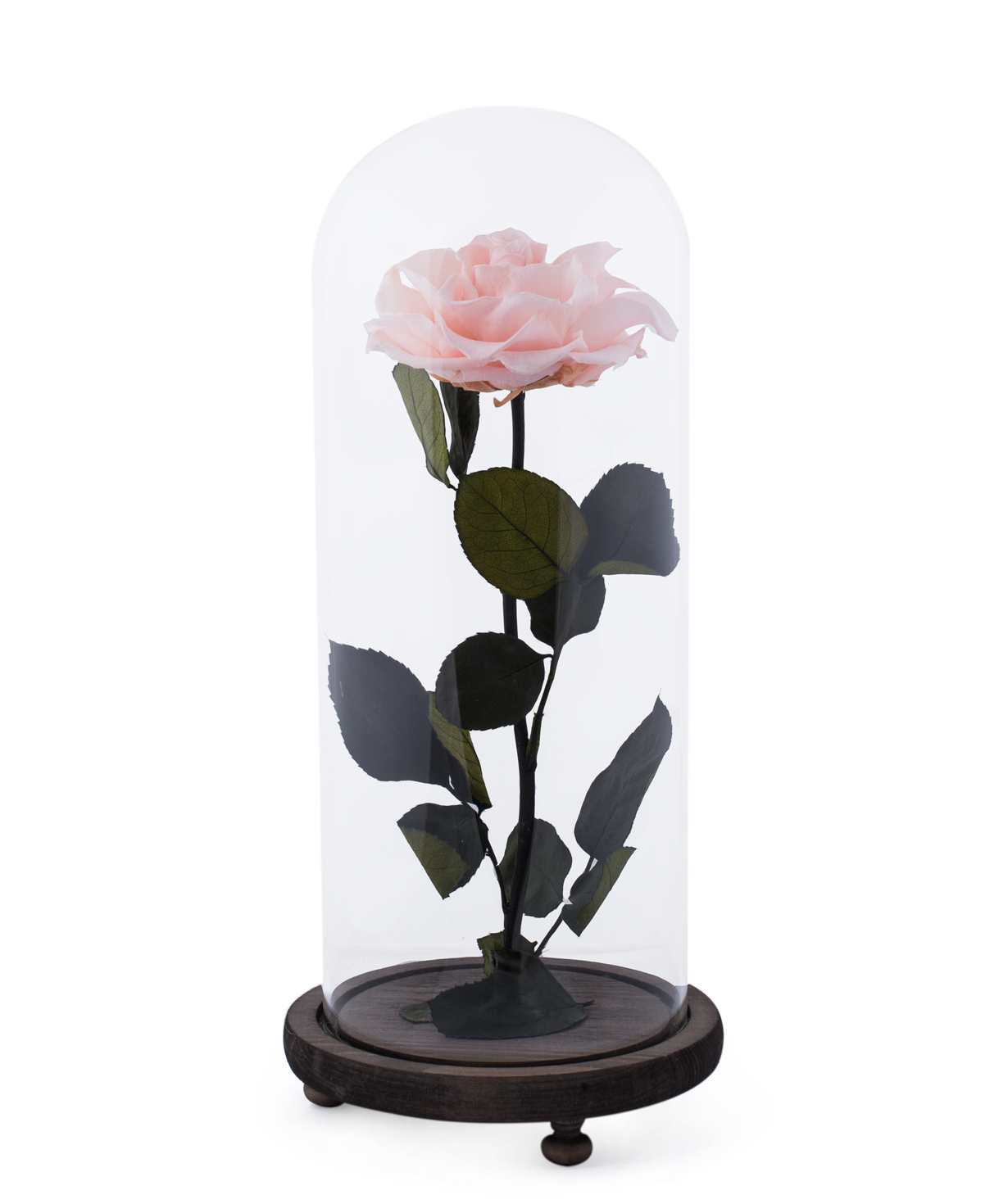 Роза `EM Flowers` вечная розовая 33 см