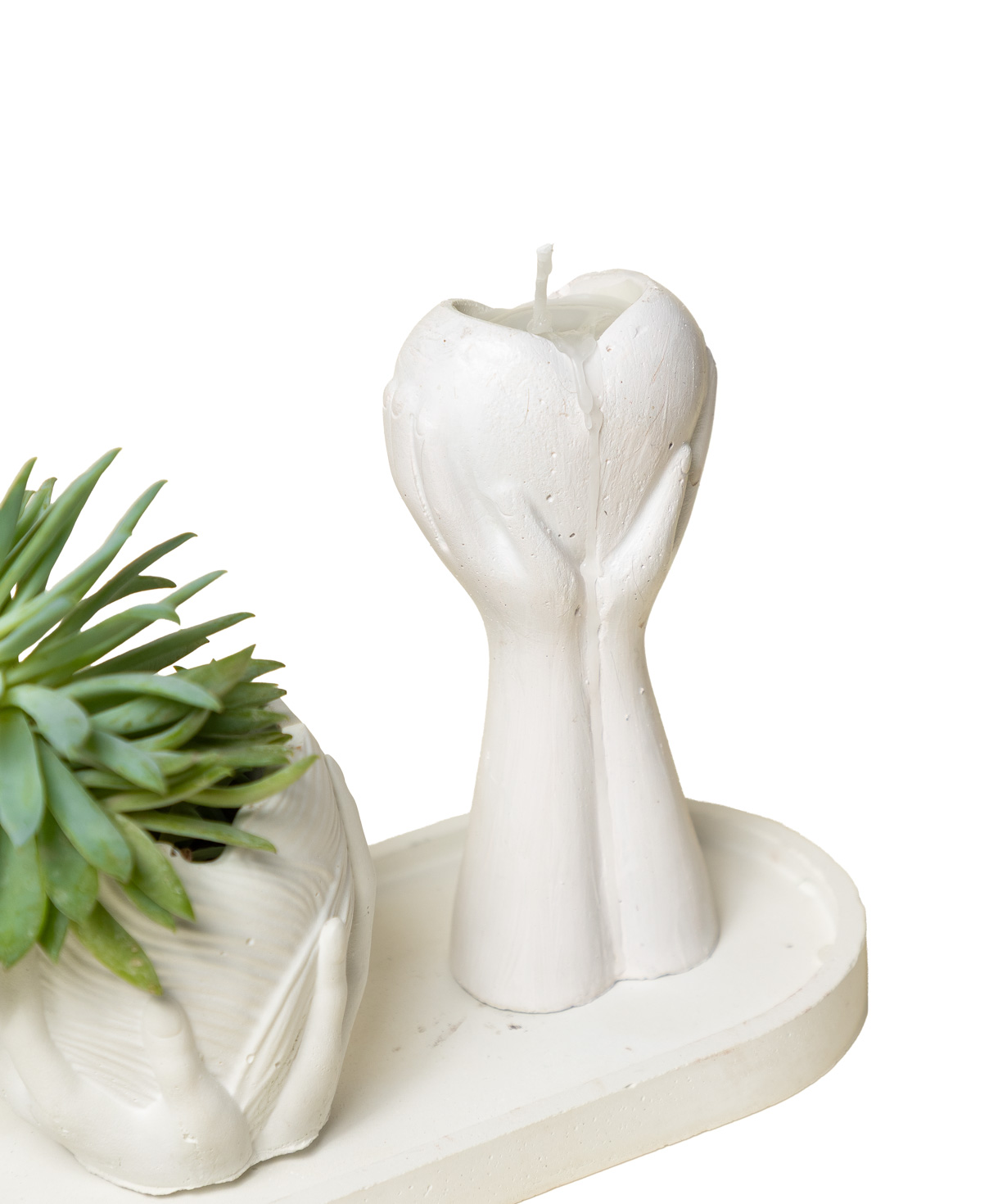 Gift set «Eco Garden» plant and candle №78