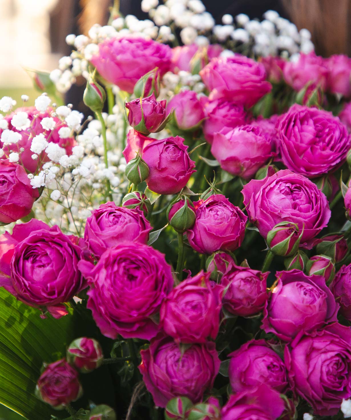 Bouquet «Djerba» with spray roses and gypsophilas