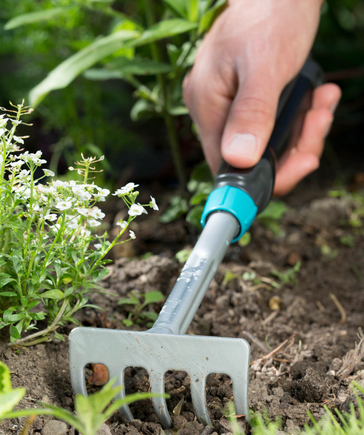 Garden rake «Gardena» 5 teeth