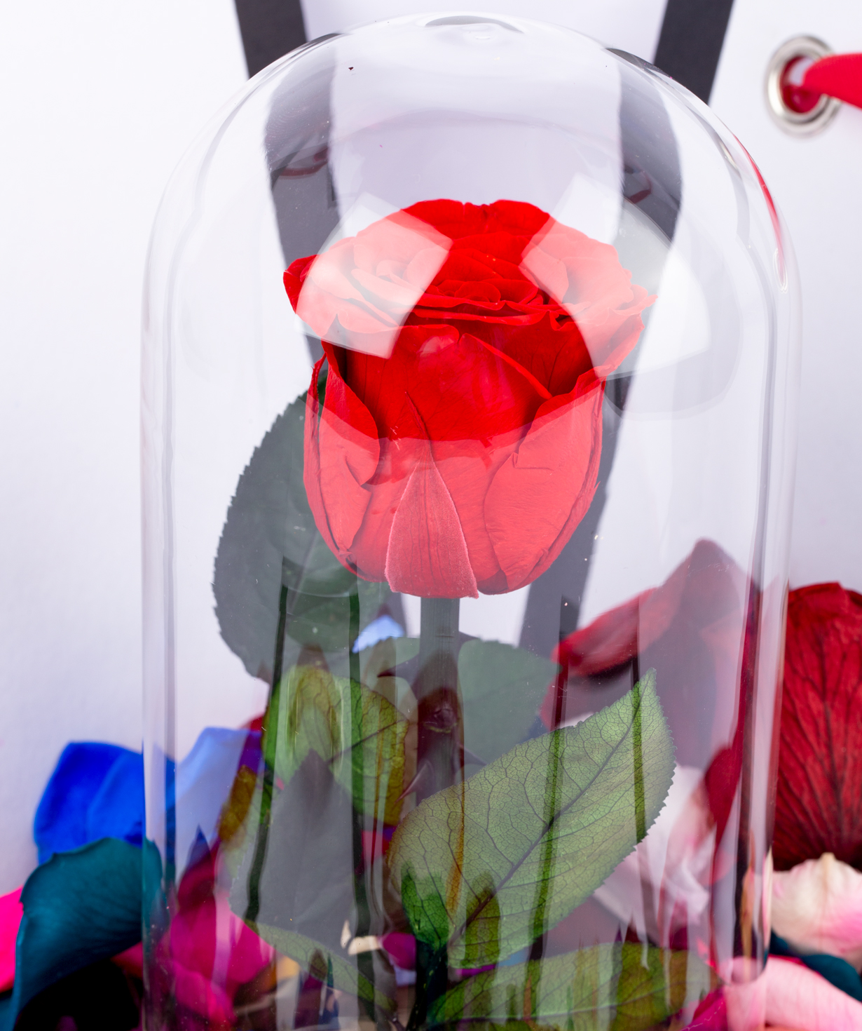Վարդ «EM Flowers» կարմիր հավերժական տուփով
