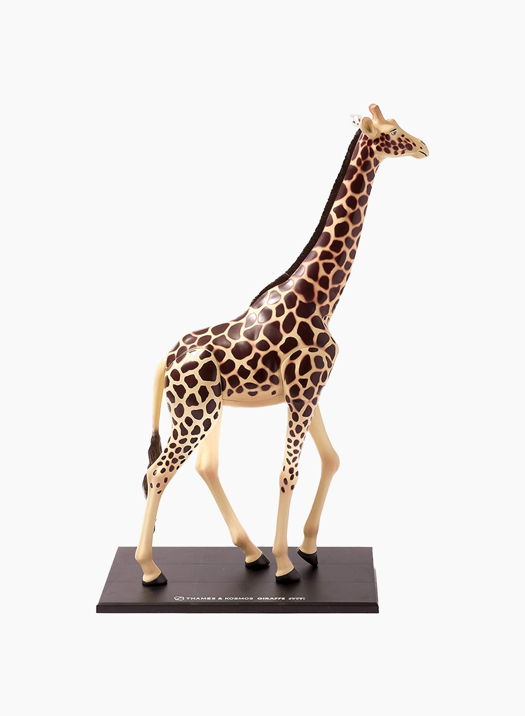 THAMES & KOSMOS Educational Game Animal Anatomy: Giraffe