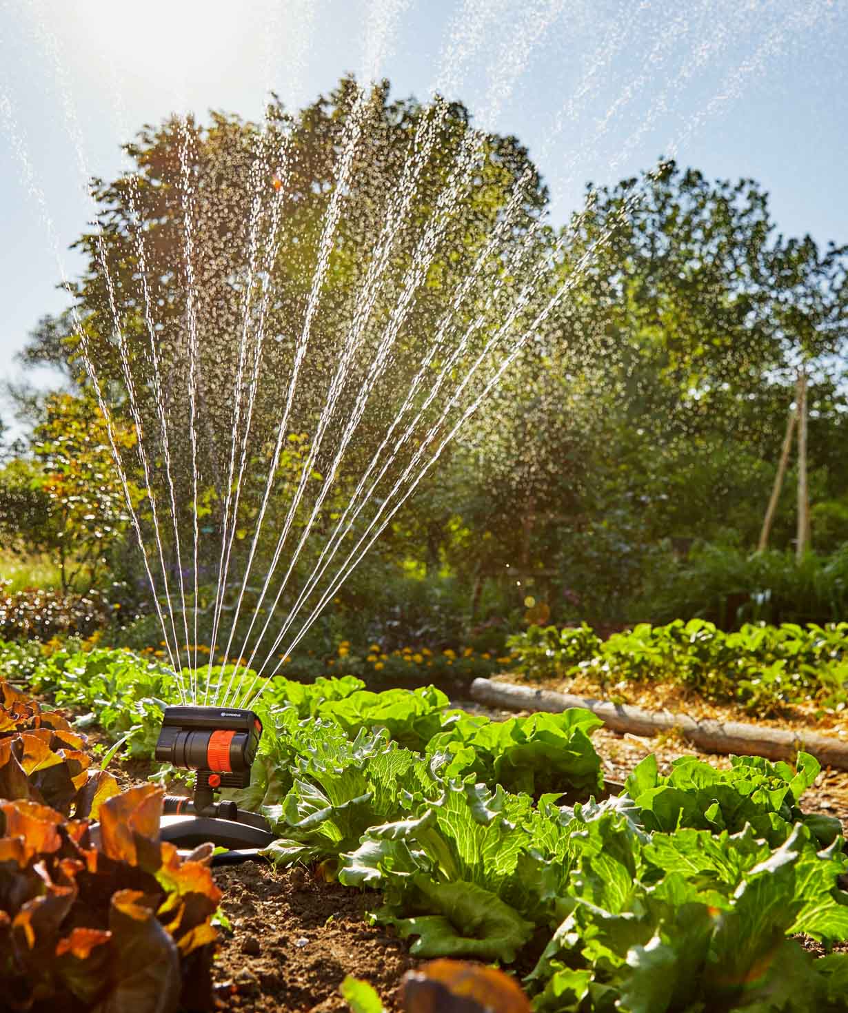 Дождеватель «Gardena» AquaZoom Compact, 216 кв.м, r-3-18 м