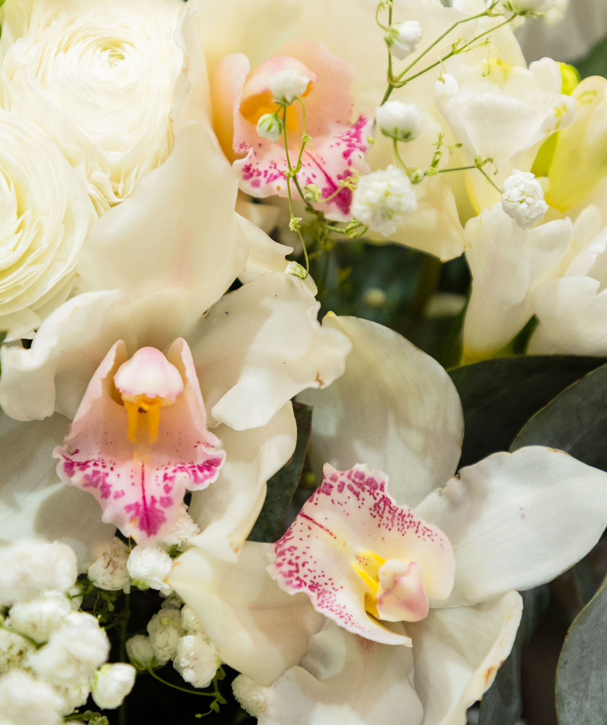 Букет «Aude» с фрезиями и орхидеями