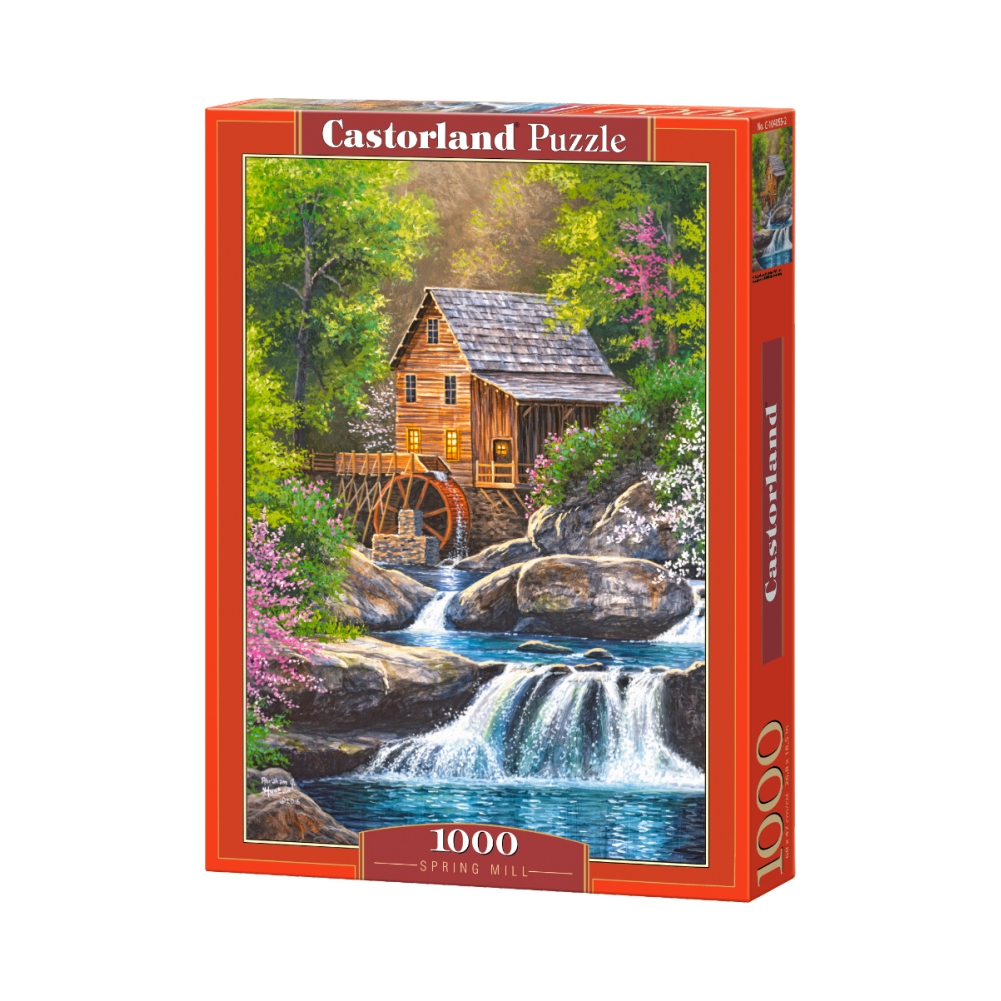 Puzzle `Castorland` 1000 details