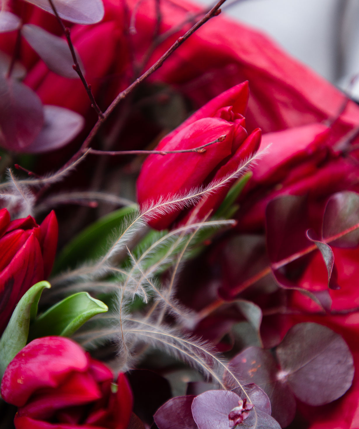 Bouquet «Amfissa» with tulips