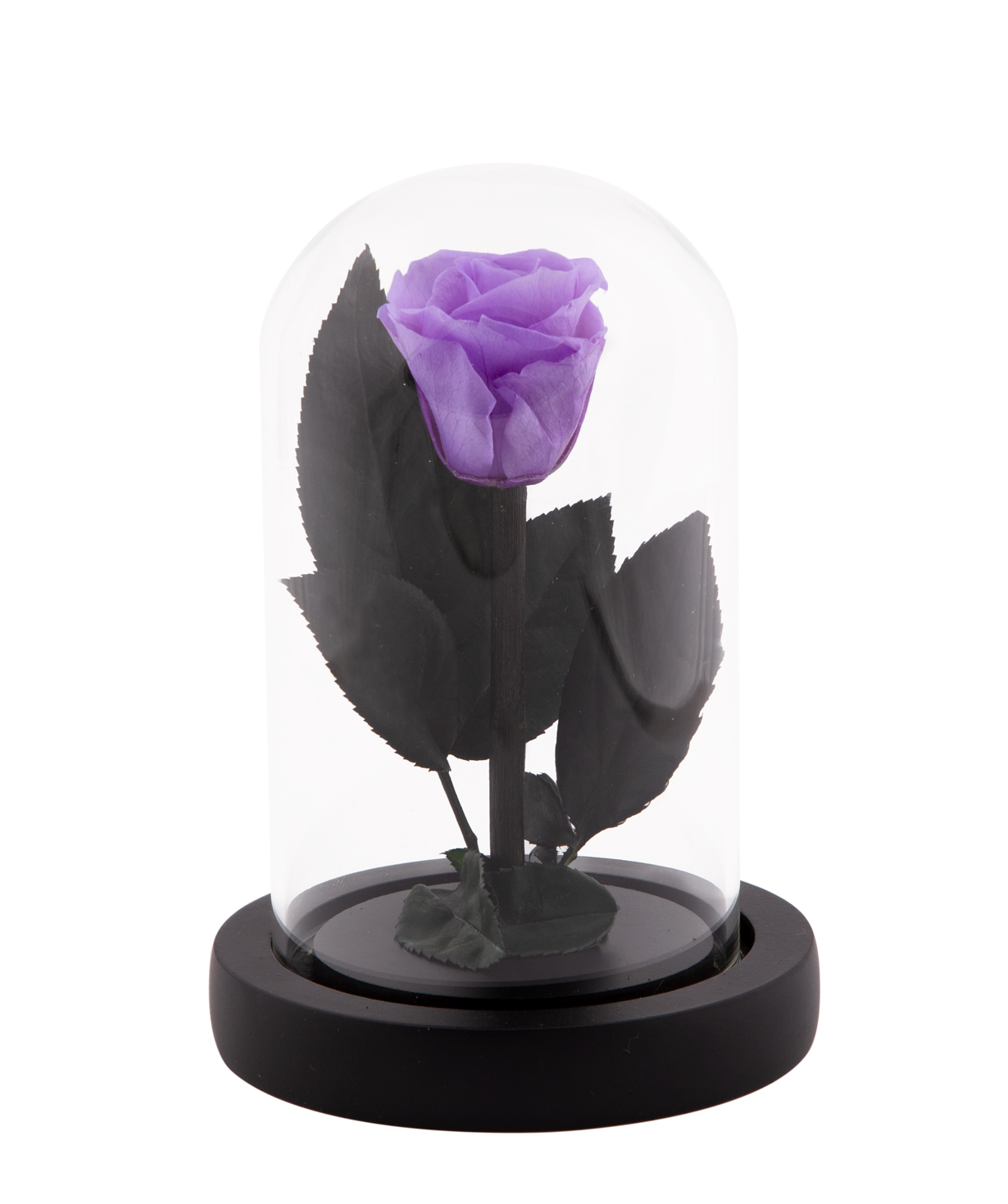 Rose `EM Flowers` eternal purple 13 cm in a flask