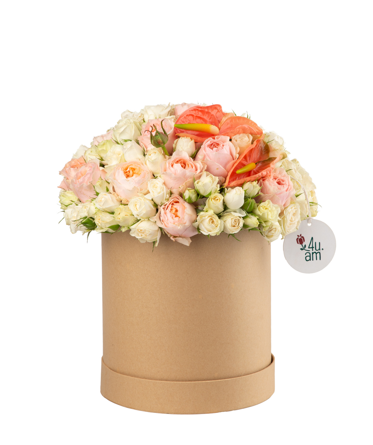 Composition `Colombo` with bush and peony roses, with anthurium