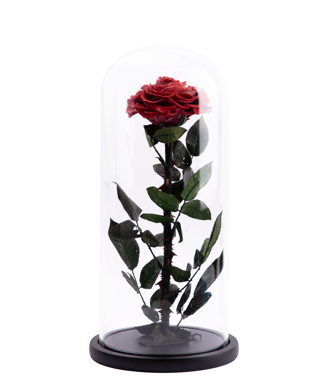 Роза ''EM Flowers'' вечная 37 см