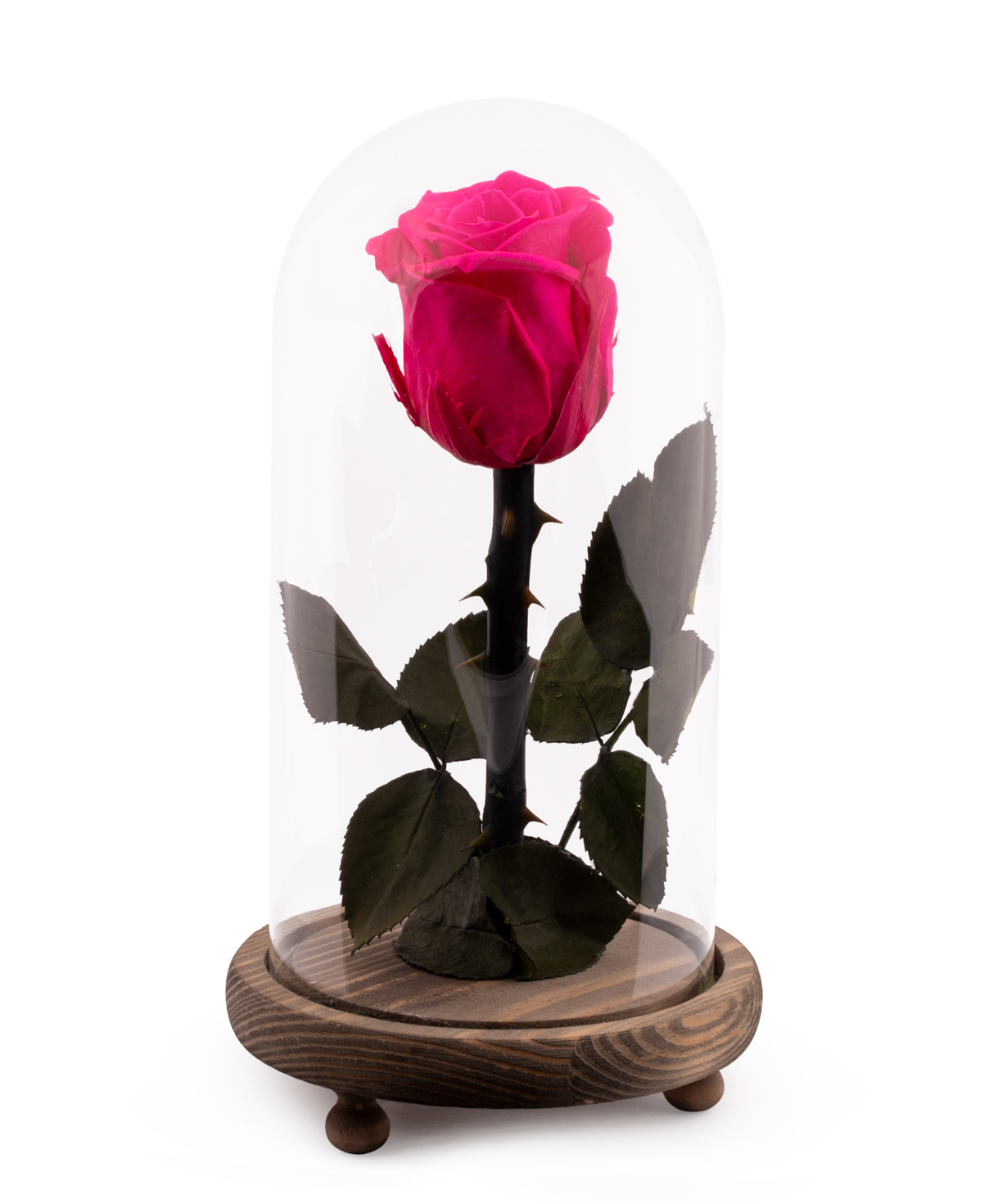 Роза `EM Flowers` вечная розоавая 23 см в колбе