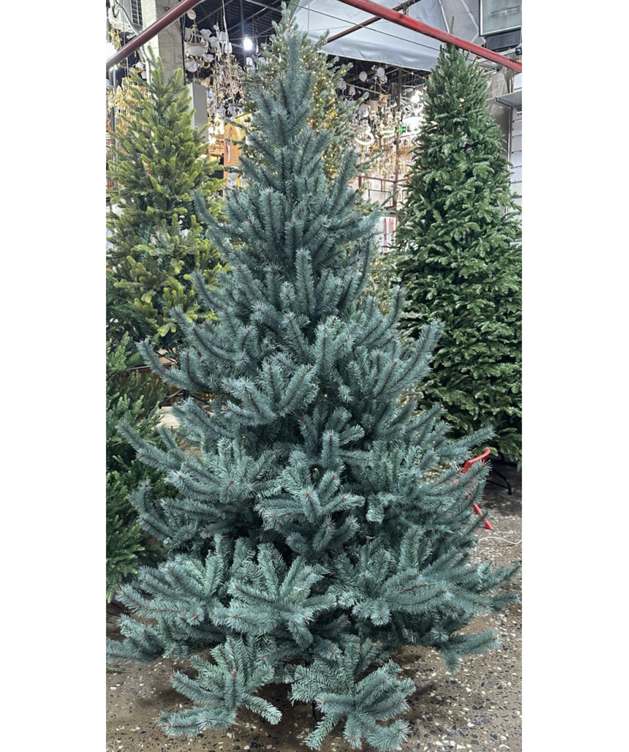 Տոնածառ «Popo» 24NHBT-8, 240 սմ