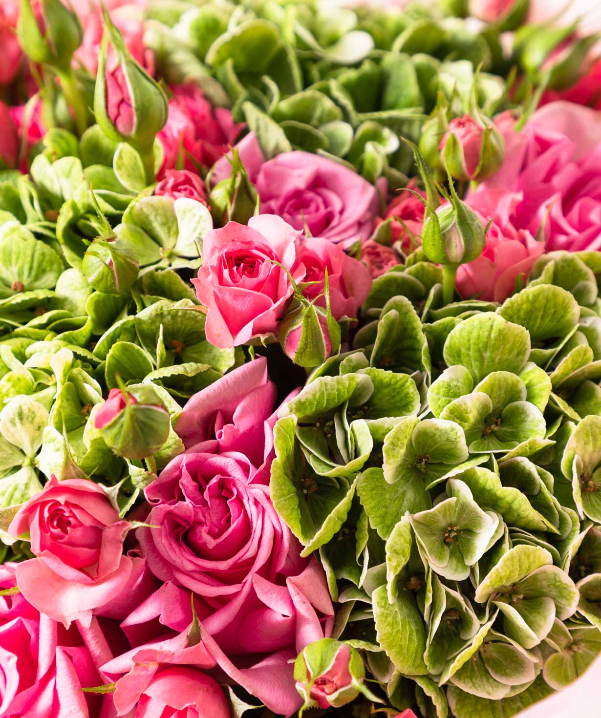 Bouquet “Pink Harmony”